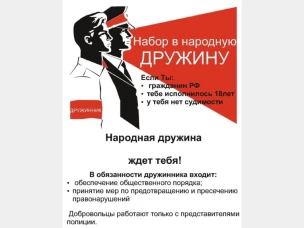 Добровольная народная дружина!